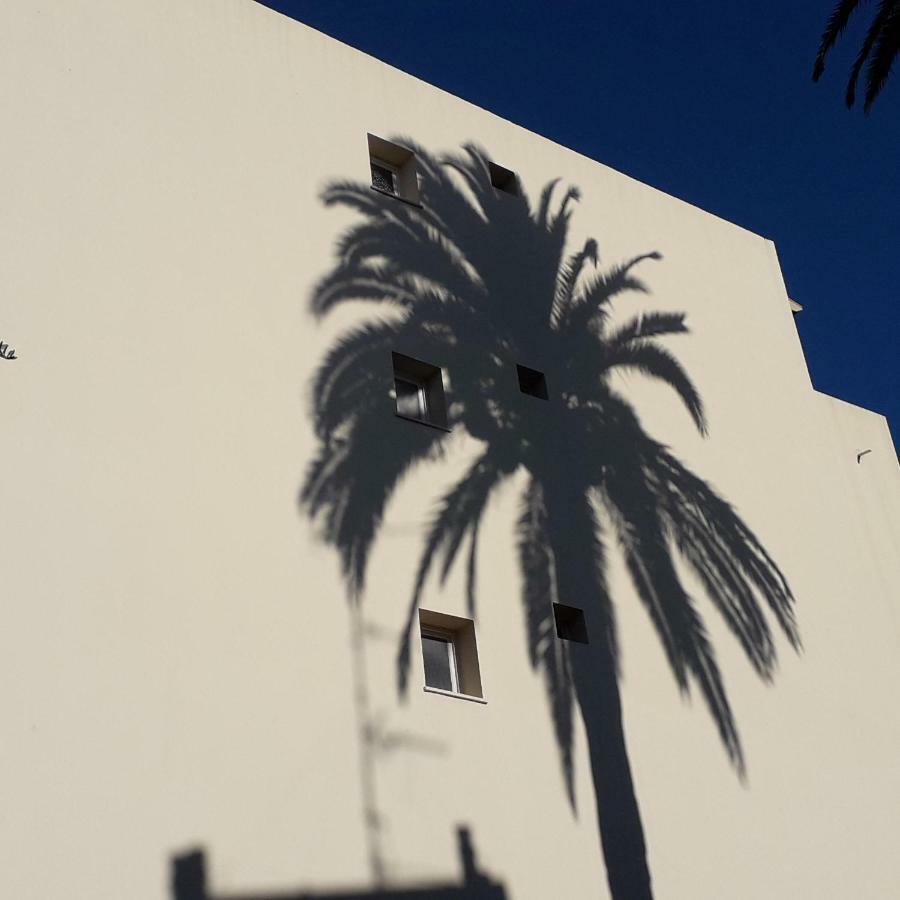 Appartement Les Pins . 2 P Calme Et Terrasse *